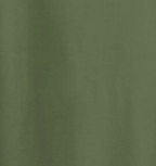 Gildan Softstyle T-shirt